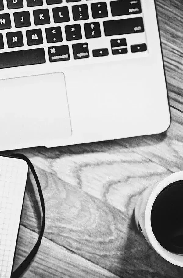 paginas web guadalajara